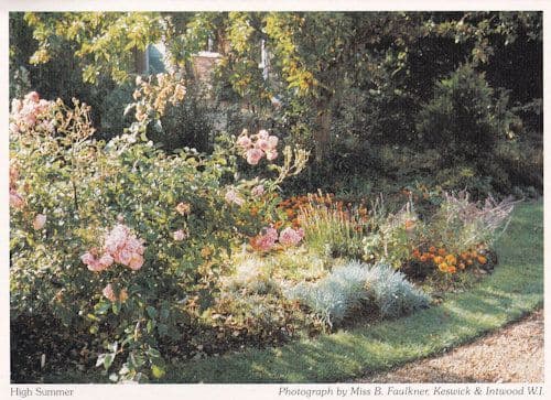 Keswick Summer Roses Garden Norwich Norfolk Postcard