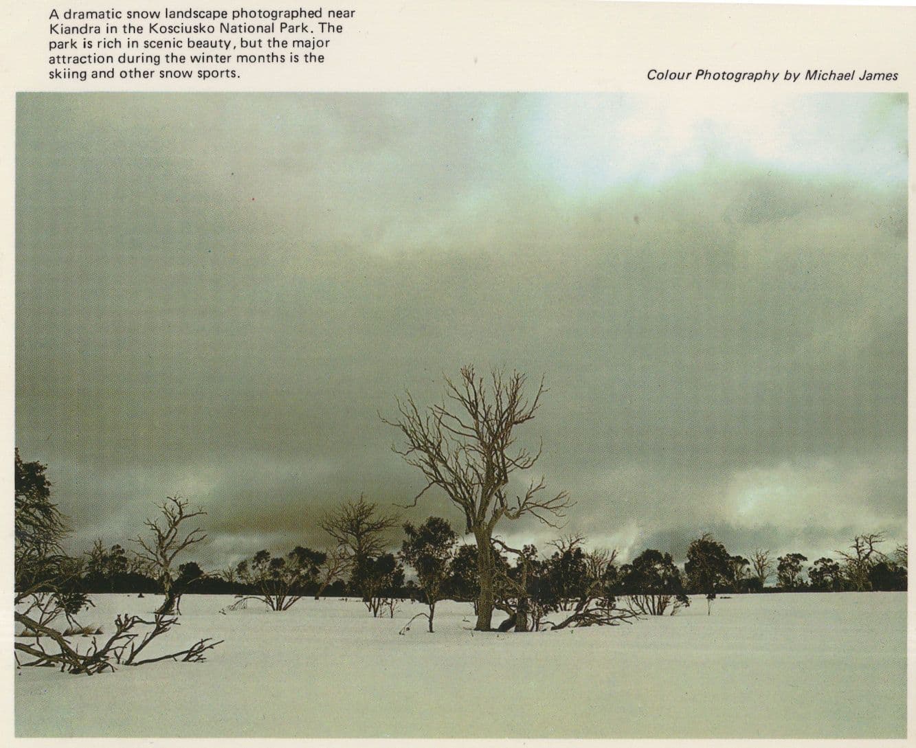 Kiandra Kosciusko National Park Winter Snow Australia Postcard