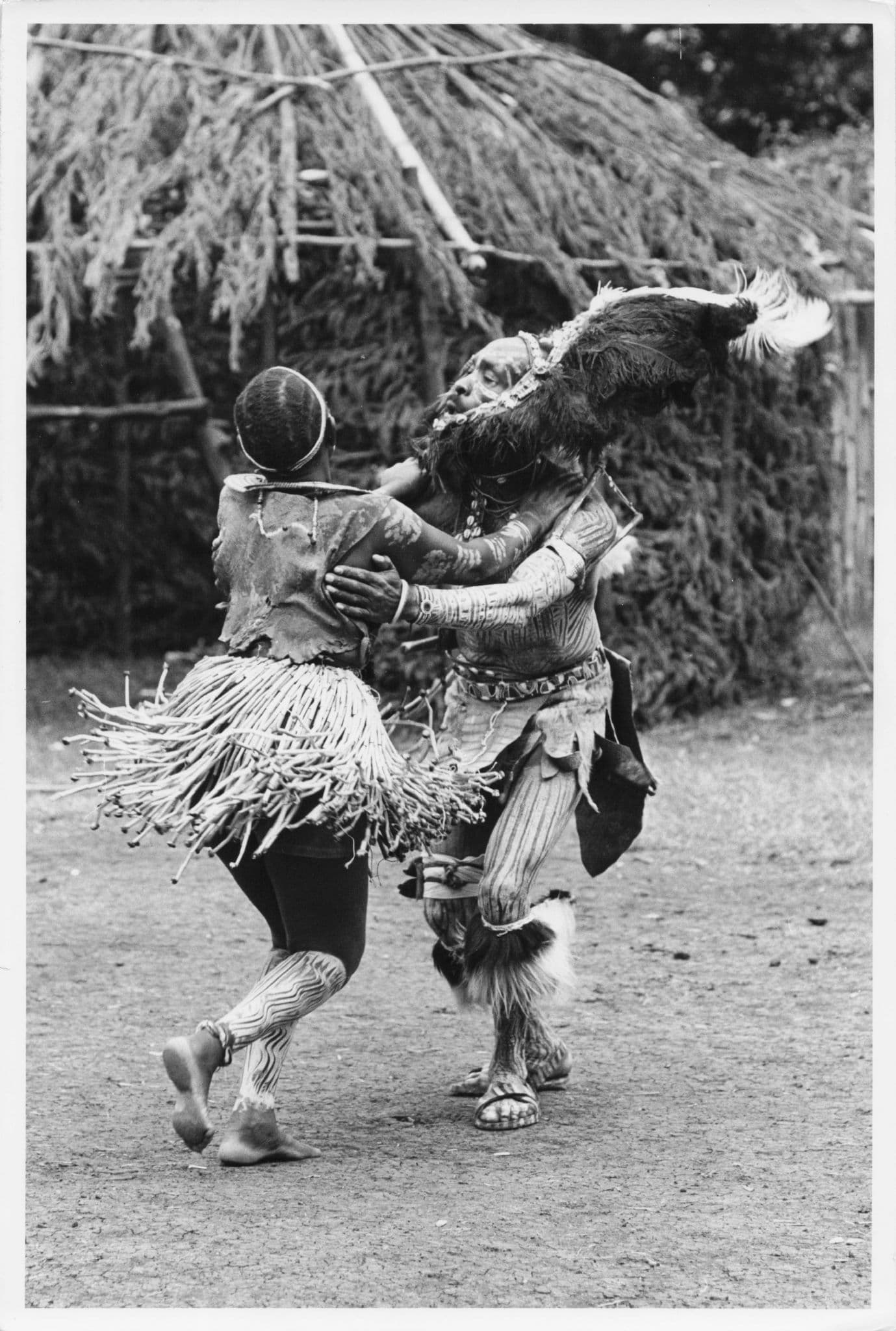Kikuyu Dancers Ostrich Feathers Headdress Kenya Africa Rare Press Photo