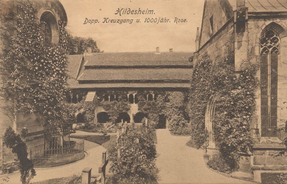 Kildesheim Dopp Kreuzgang 1000 Jahr German Old Postcard