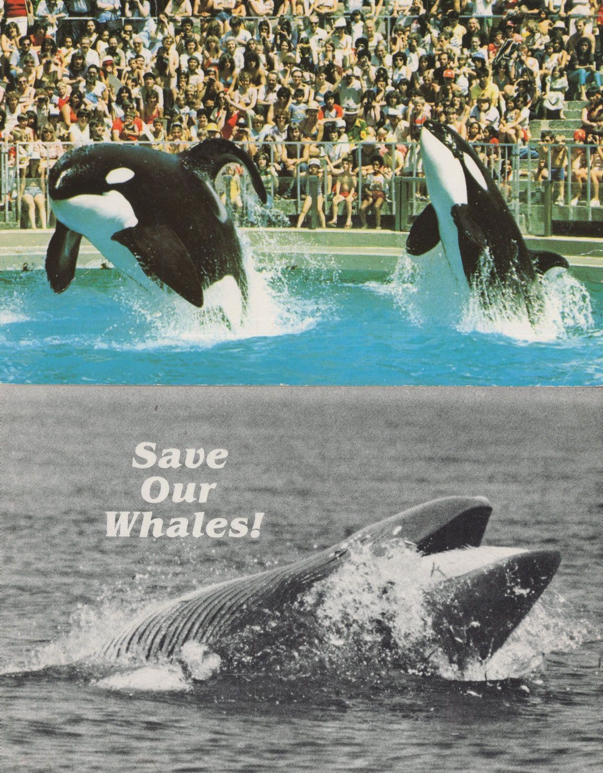 Killer Whales Vancouver Canada Ronald Reagan 2x Postcard s