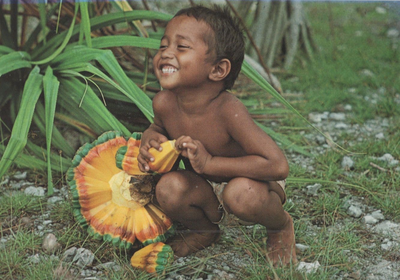 Kiribati Child Eating Vegetables Chewy Fruit Food Taiwan Rare Postcard
