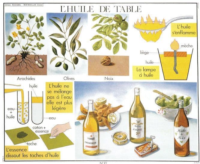 Kitchen Table Cookery Wines Food Oil Seasonings French Chart Postcard