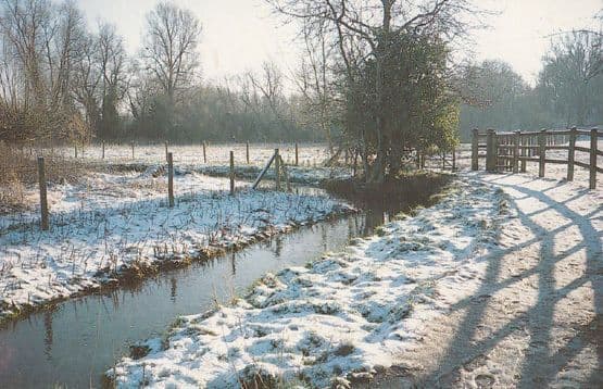 Knaresborough Smallbrook Nature Reserve in Winter Disaster Snow Postcard
