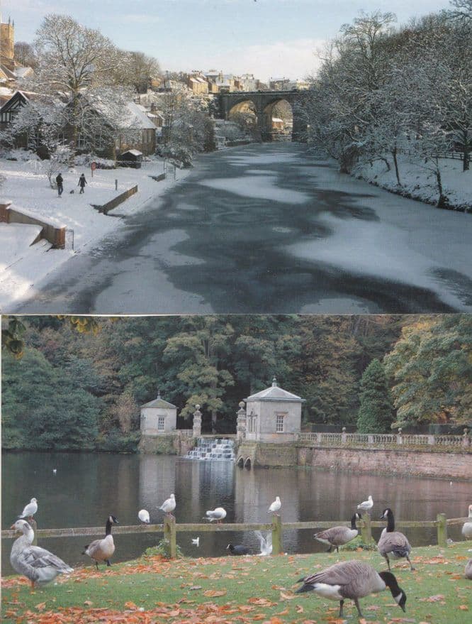 Knaresborough Studley Bridge Birds & Winter Snow 2x Large Postcard s