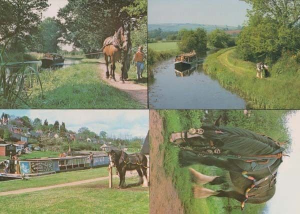 Knightshayes Court Devon Victorian Gardens Bedroom 4x Mint Postcard