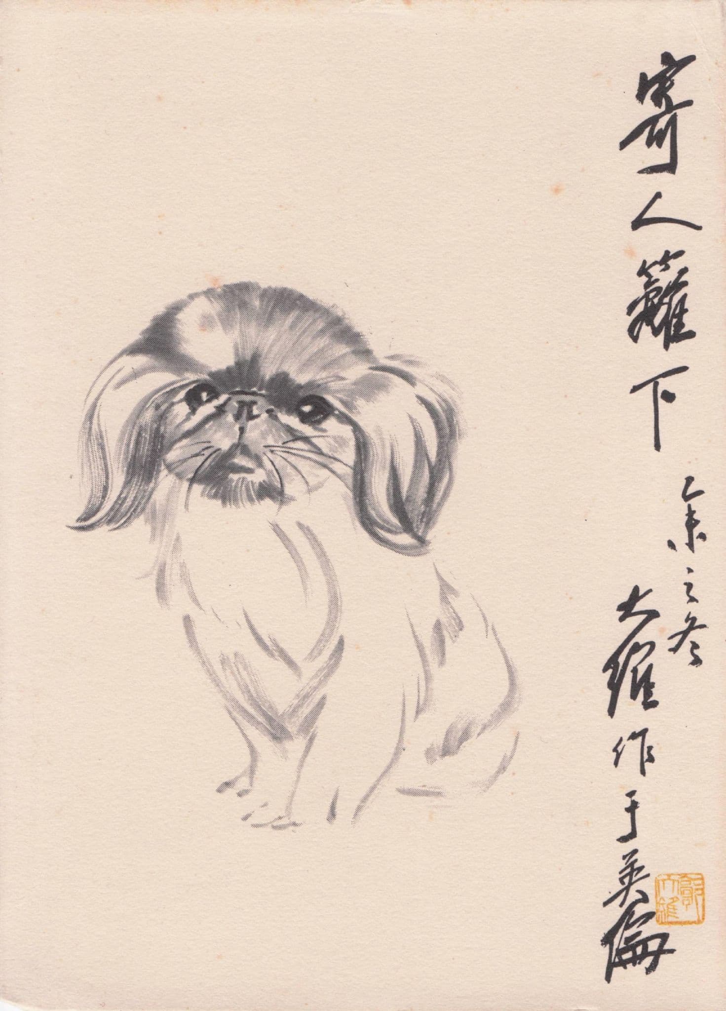 Kwok Ta Wei Pekinese Dog Chinese China Sketch Drawing Painting Postcard