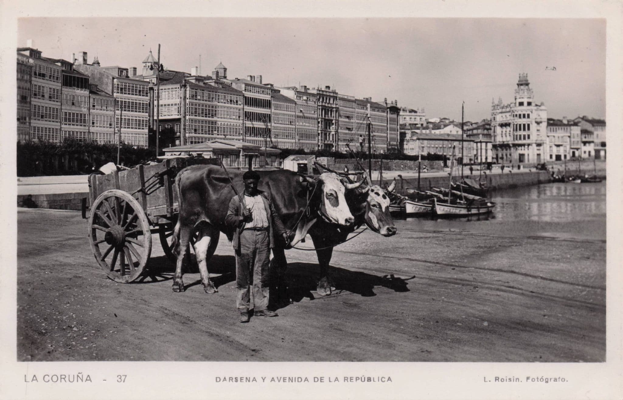 La Coruna Darsena Y Avenida De La Republica Spain Old RPC Postcard