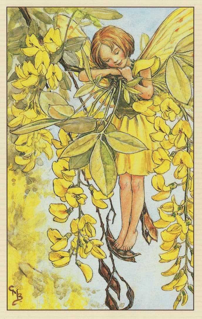 Laburnum Fairy From WW2 Flower Fairies Book Postcard