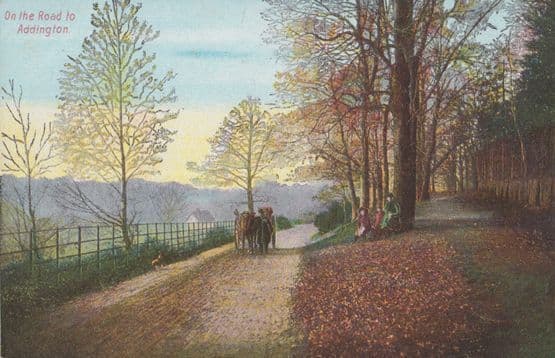 Ladies Watch Horse & Cart On The Road Addington Rare Antique Surrey Postcard