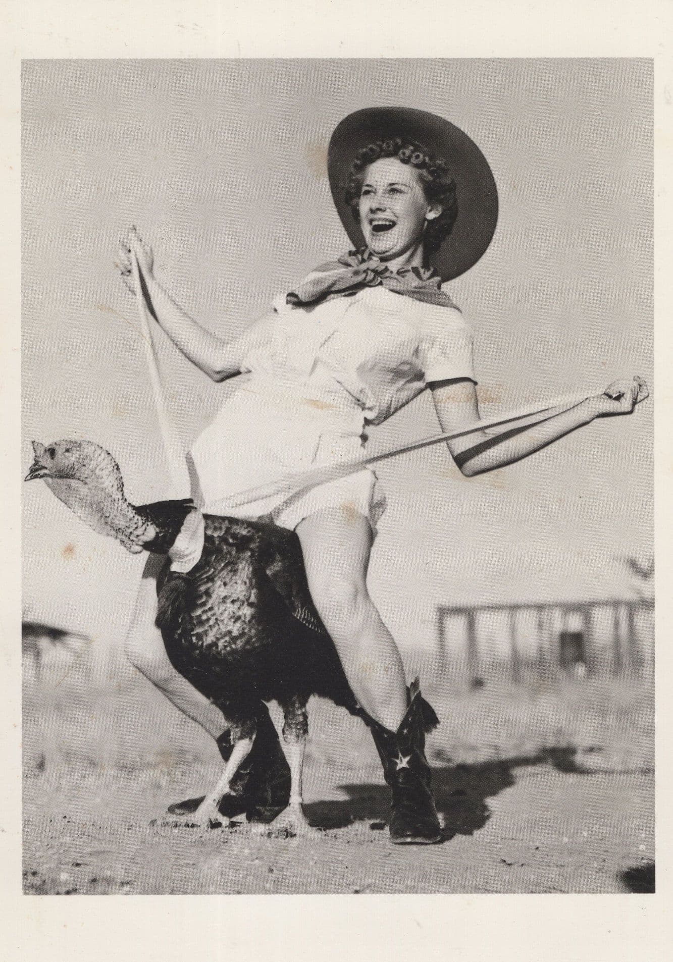 Lady Rodeo Riding An Emu Bird French Award Photo Art Postcard