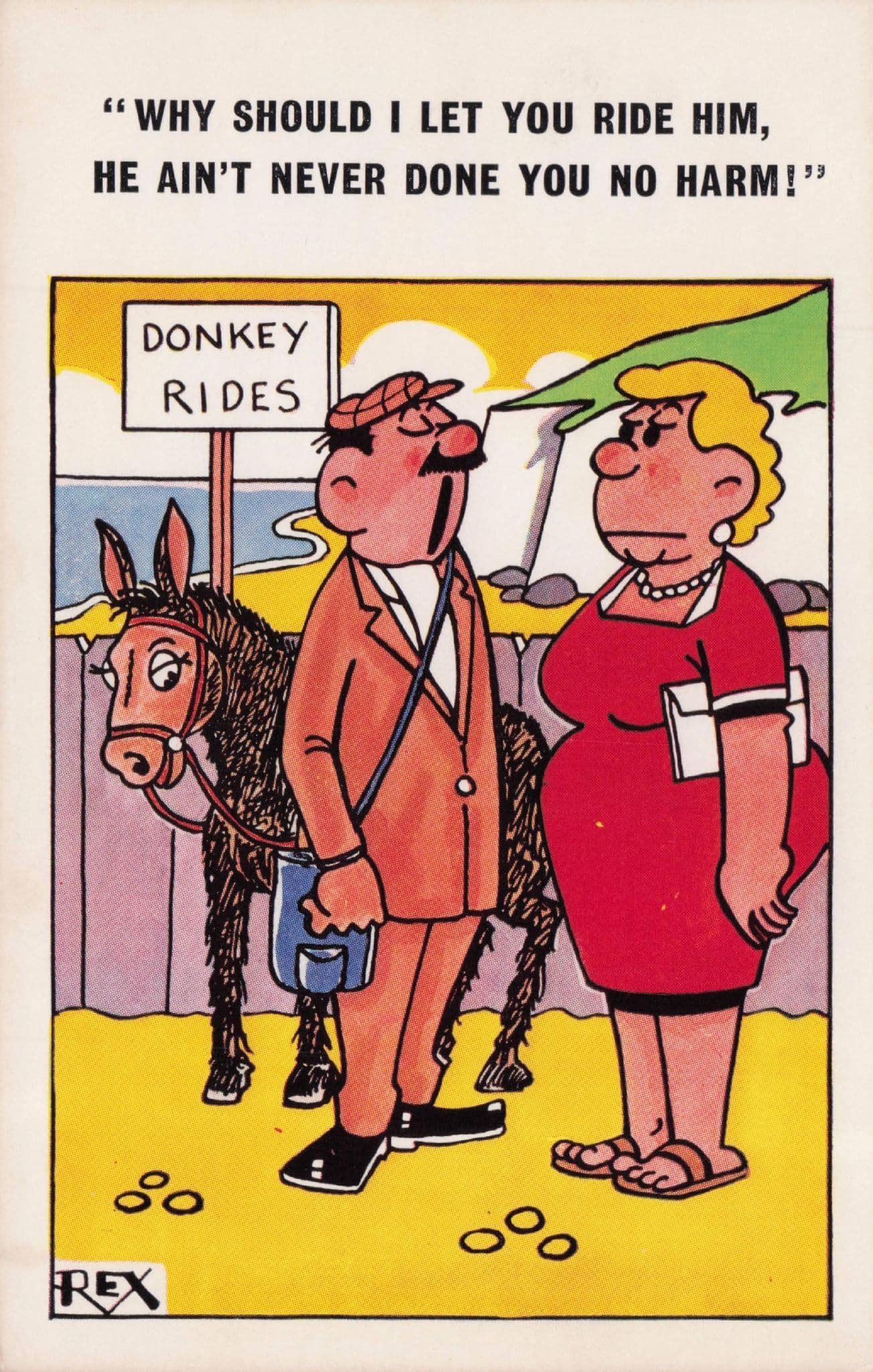 Lady Wants To Ride A Donkey Rude Double Meaning Comic Postcard