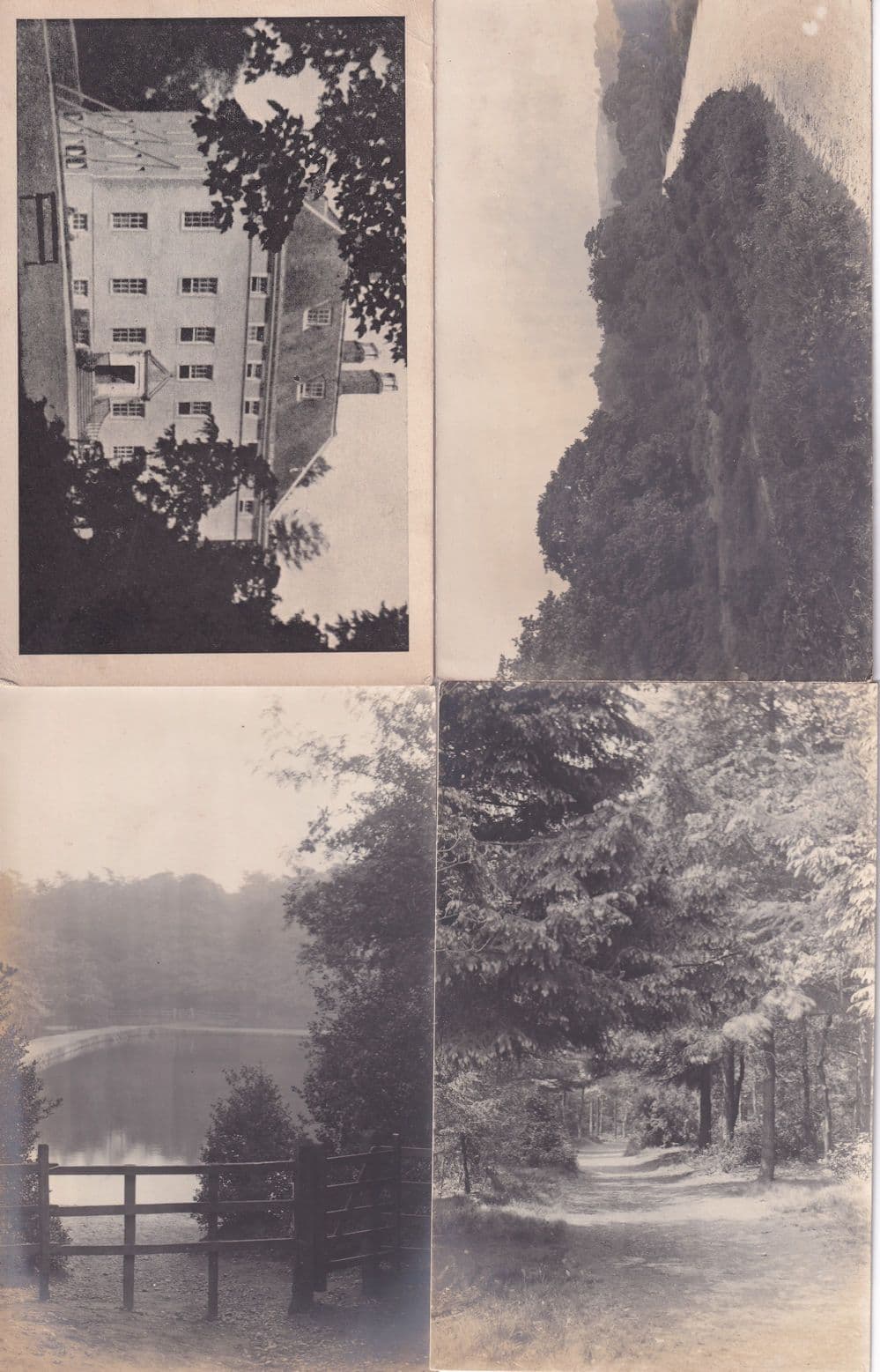 Lake District & Barrow In Furness Forest 8x Antique Postcard s
