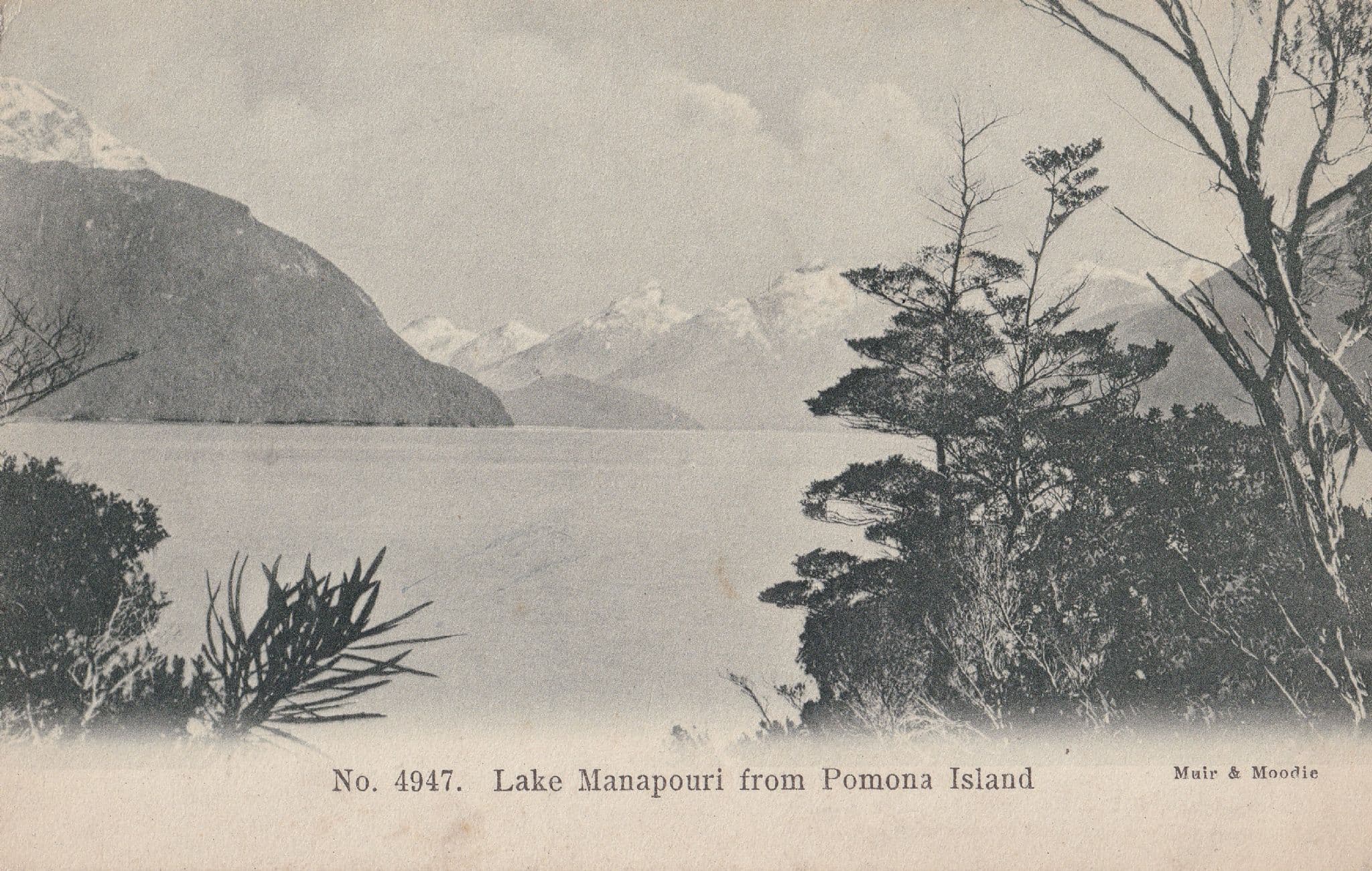 Lake Hamilton Waikato New Zealand Old Postcard