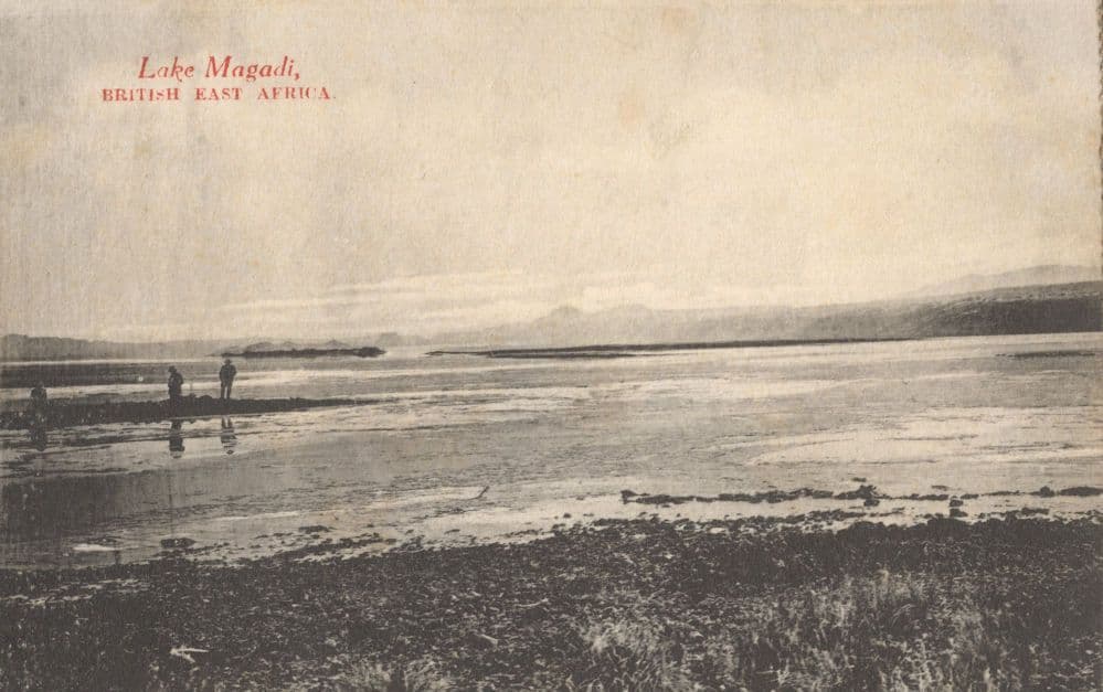 Lake Magadi Kenya Antique African Postcard