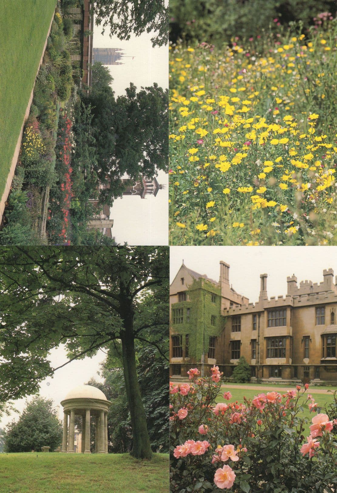 Lambeth Palace London Chinese Gardens Flowers 8x Postcard s