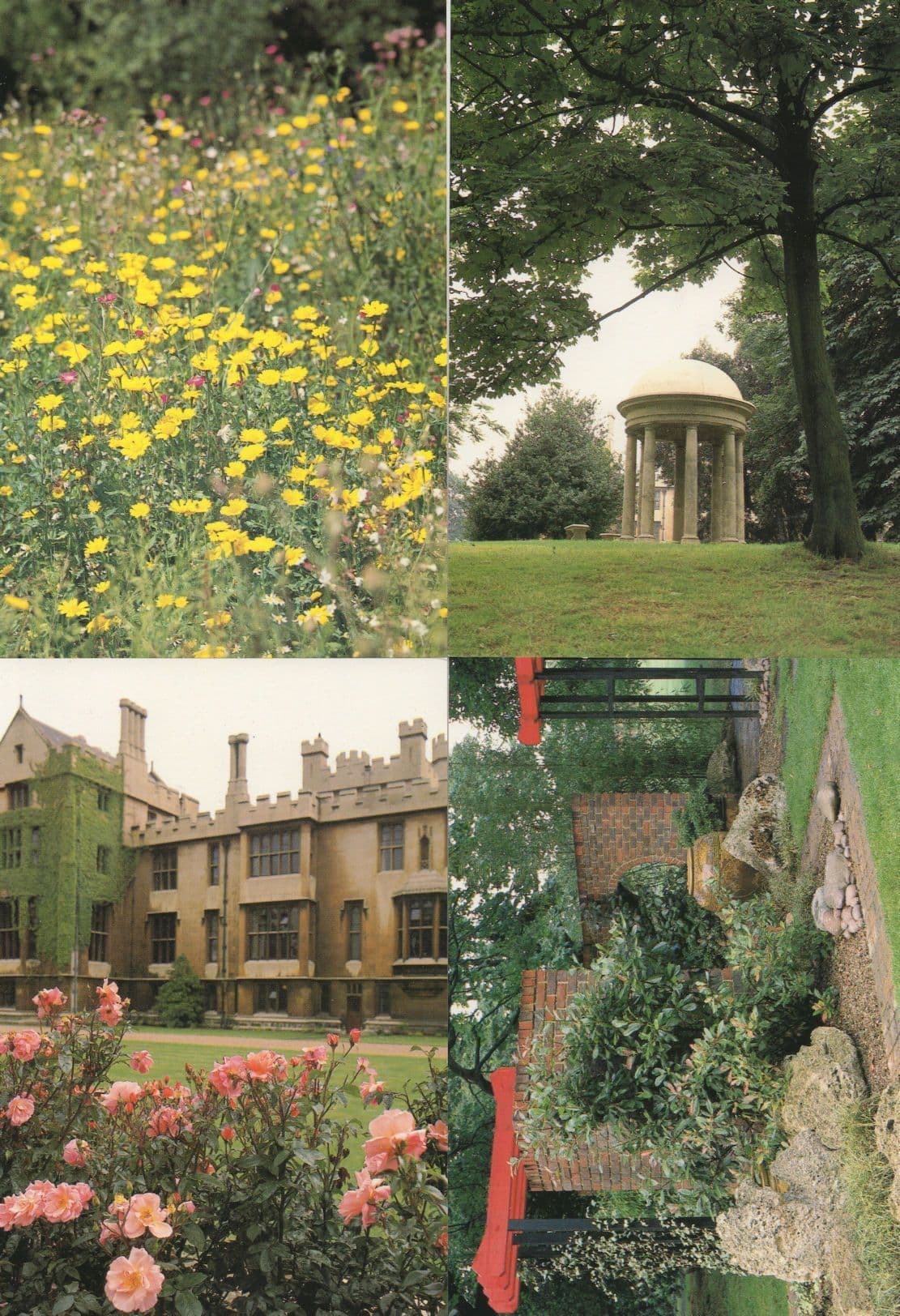 Lambeth Palace London Chinese Gardens Flowers 8x Postcard s