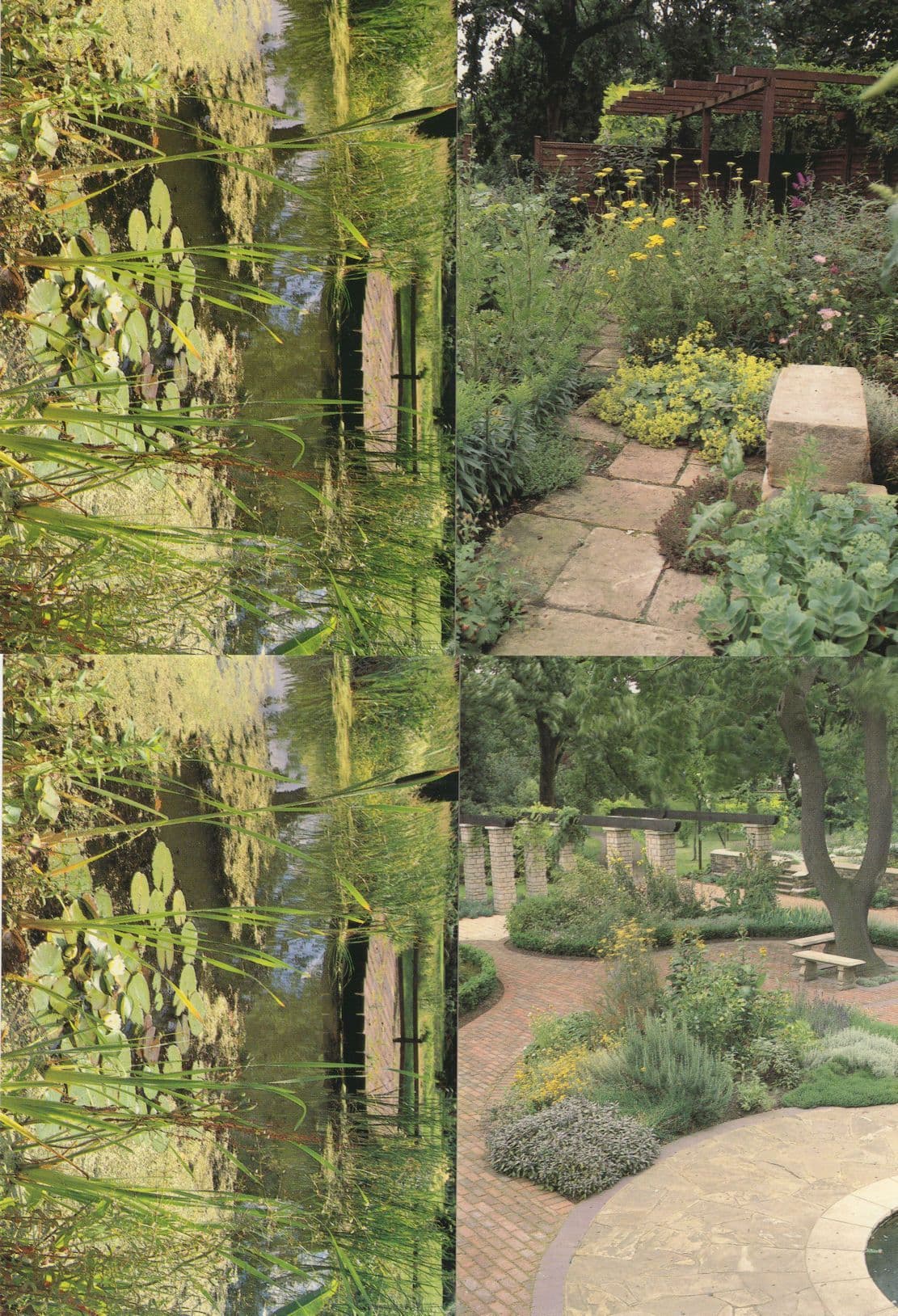 Lambeth Palace London Flowers Grounds 8x Stunning Postcard s