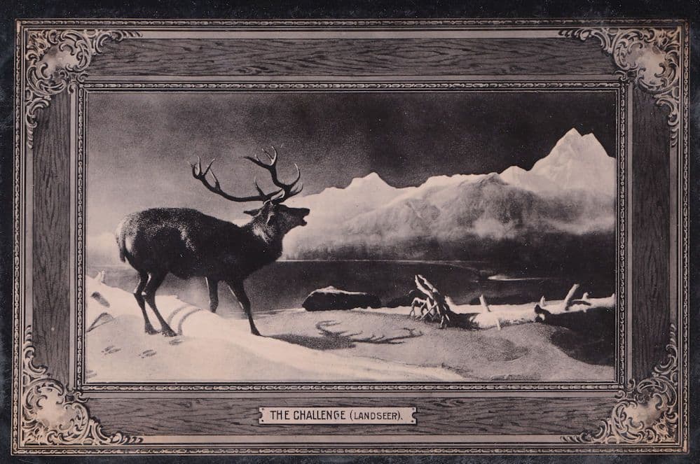 Landseer The Challenge Antique Painting Postcard