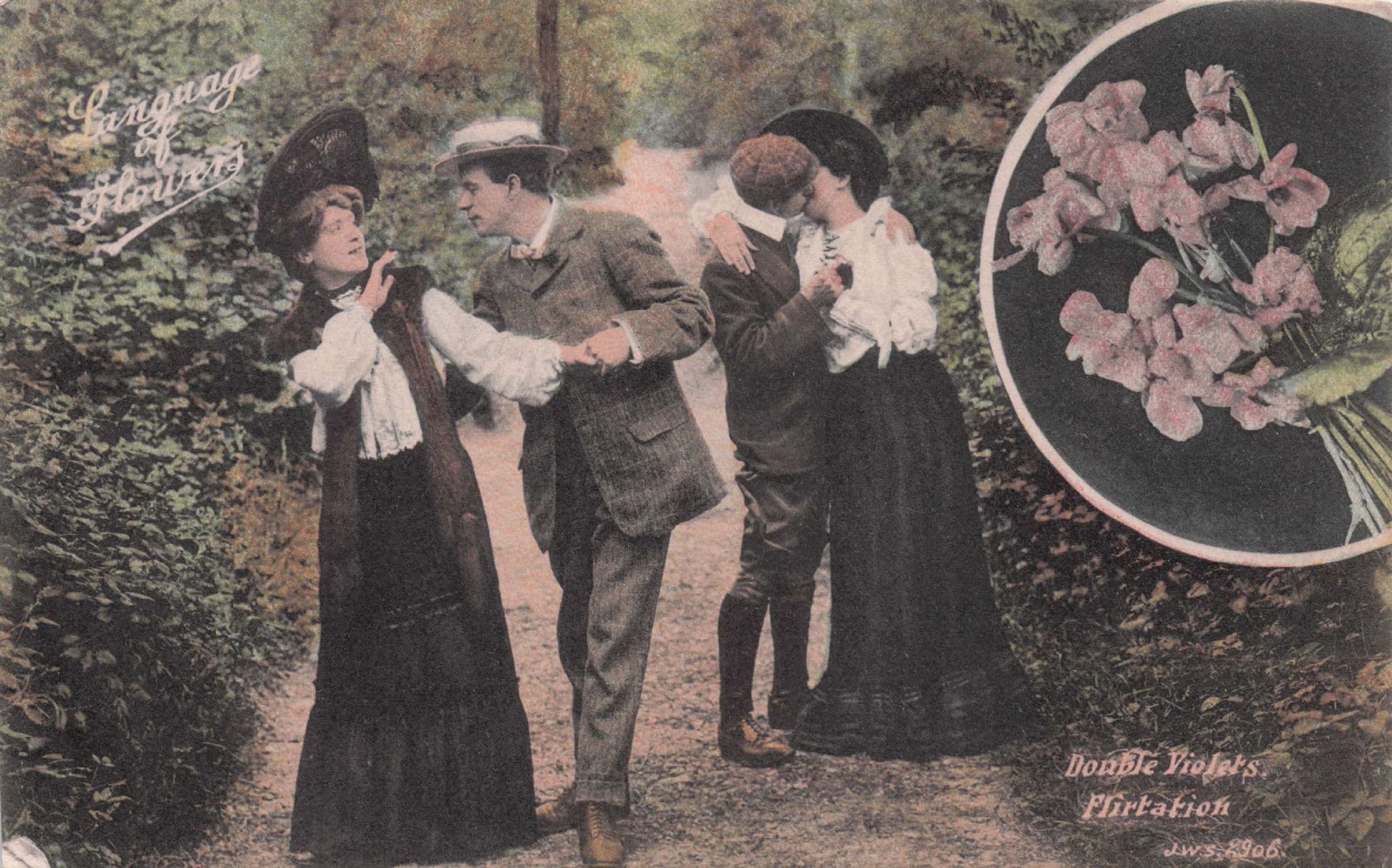 Language Of Flowers Double Violets Flirtation Romance Postcard