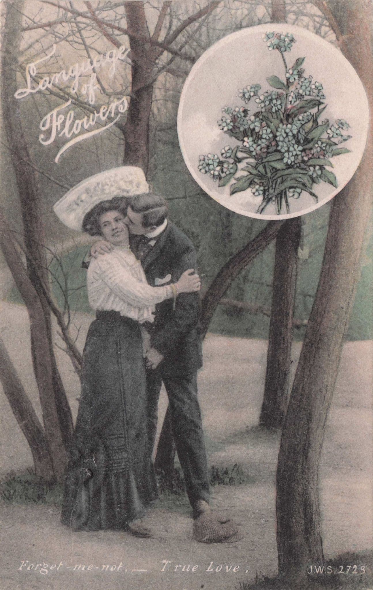 Language Of Flowers Forget Me Not True Love Romance Old Postcard