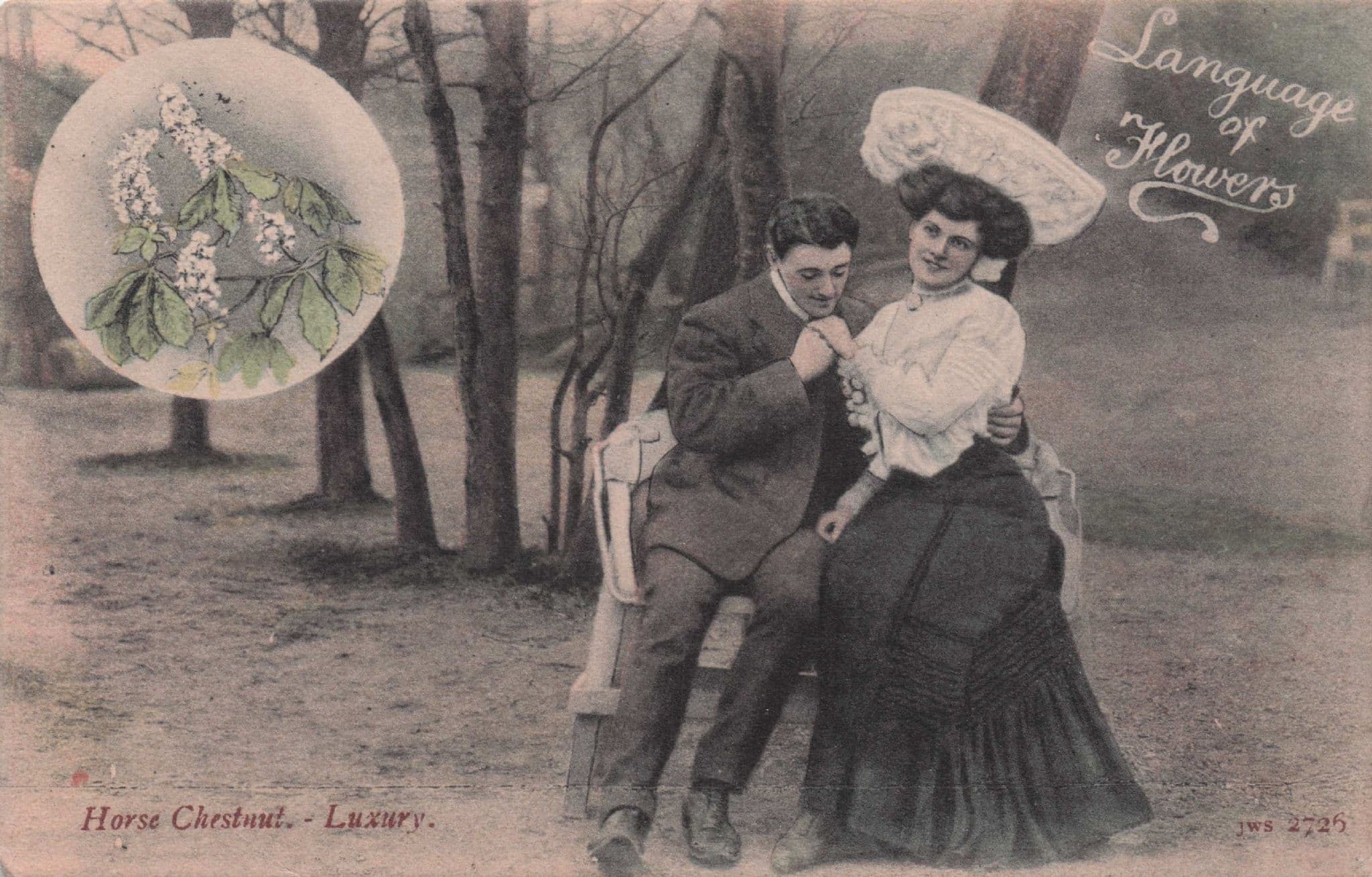 Language Of Flowers Horse Chestnut Living In Luxury & Love Old Postcard