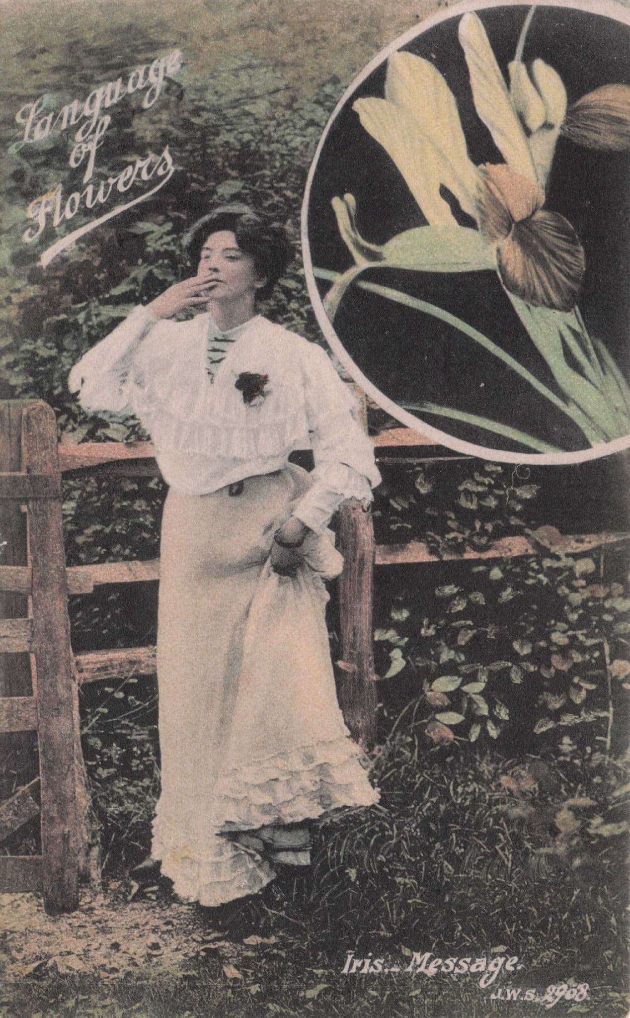 Language Of Flowers Iris Message Pensive Thought Old Romance Postcard