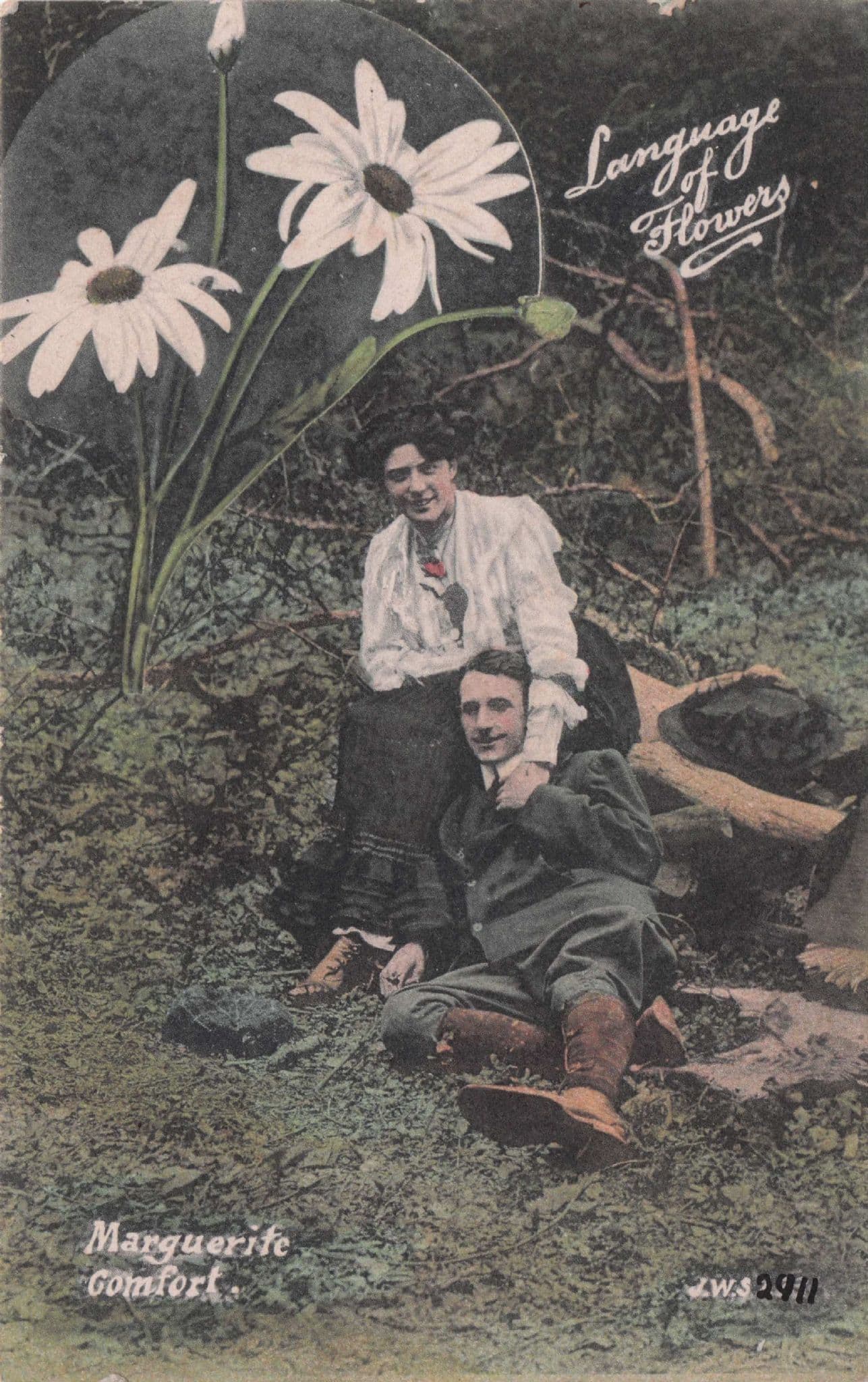 Language Of Flowers Marguerite's Comfort Romantic Old Postcard