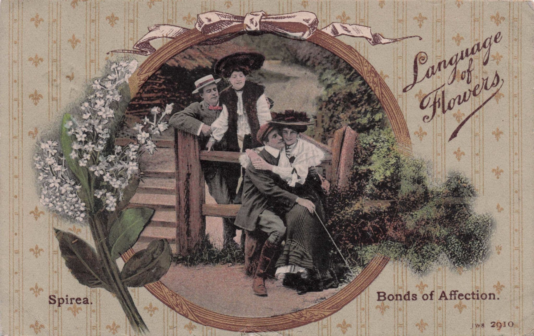 Language Of Flowers Spirea Bonds Of Affection Old Postcard