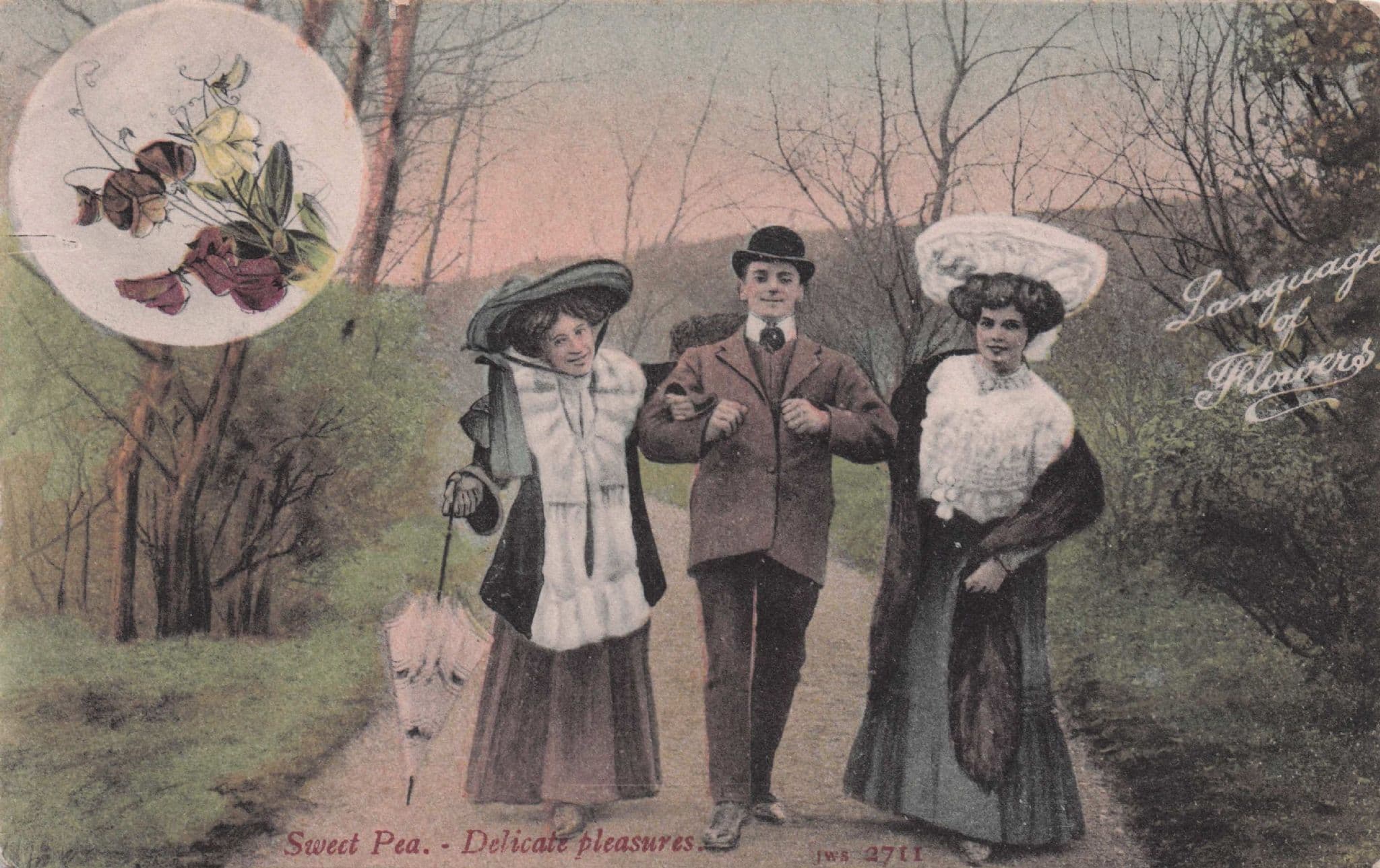 Language Of Flowers Sweet Pea Delicate Pleasures Rare Old Postcard
