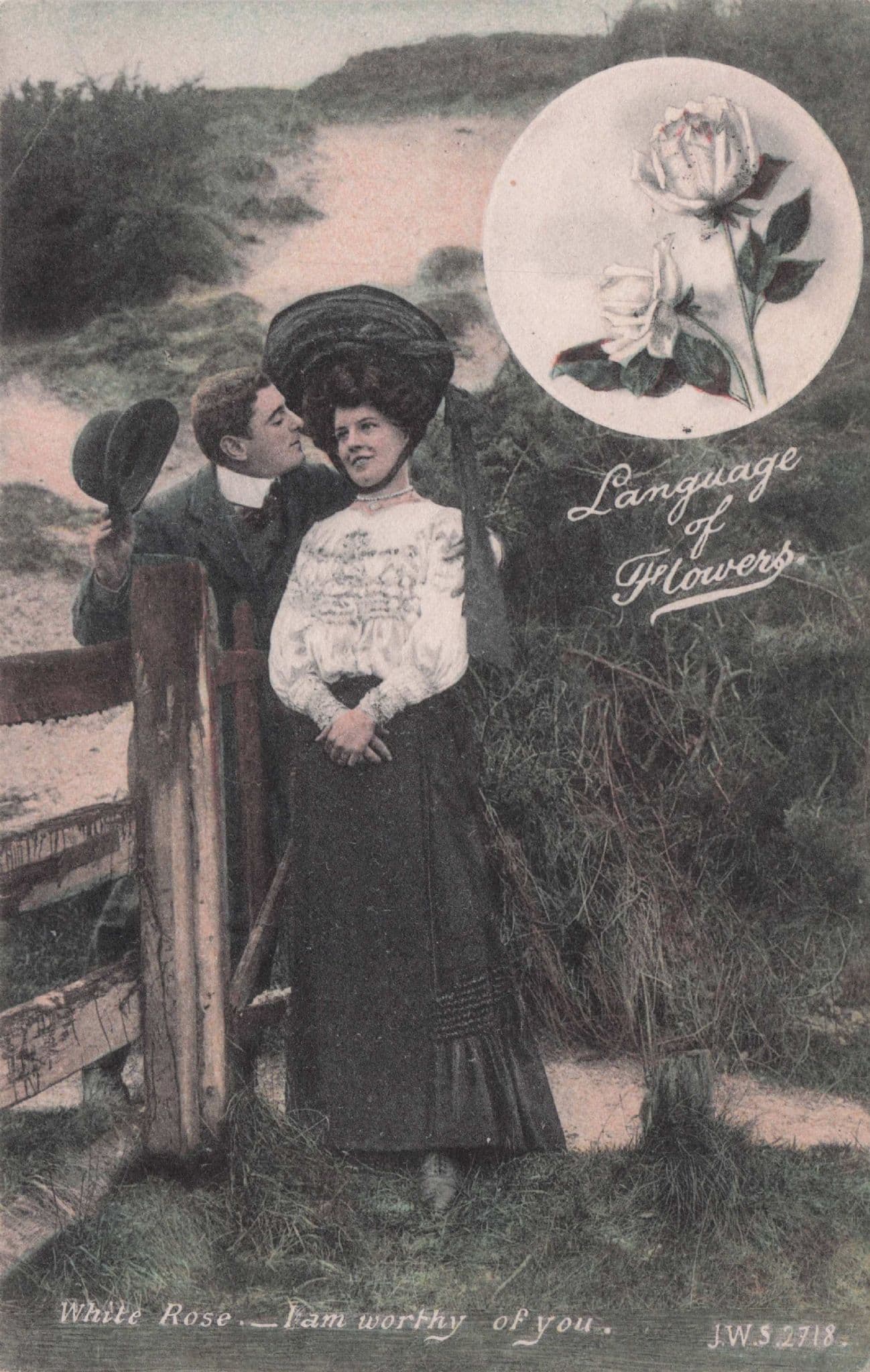 Language Of Flowers White Rose I Am Worthy Of You Romance Postcard
