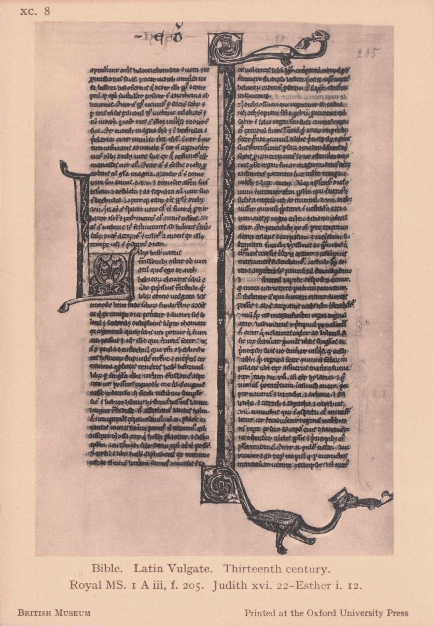 Latin Vulgate Judith Royal MS Antique 9th Century Bible Old Postcard