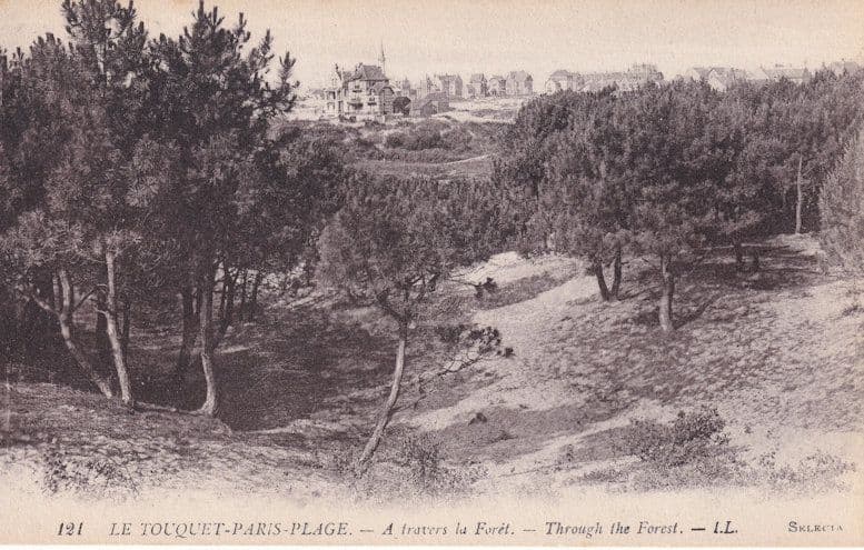 Le Torquet Paris Plage A Travers La Foret Antique French Postcard