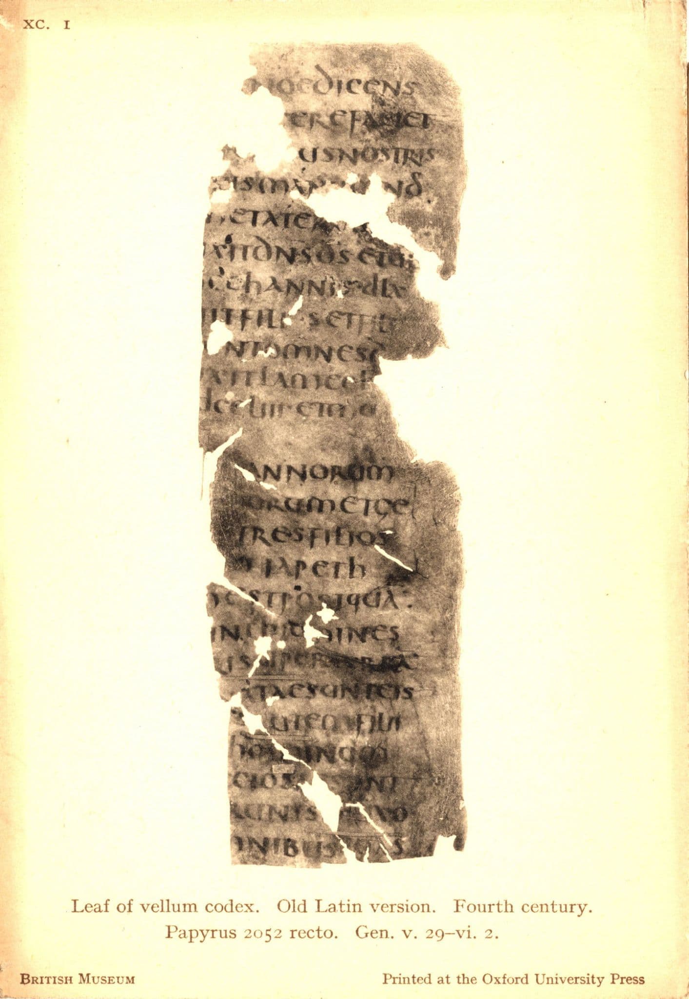 Leaf Of Vellum Codex Latin 4th Century Manuscript Old Museum Postcard