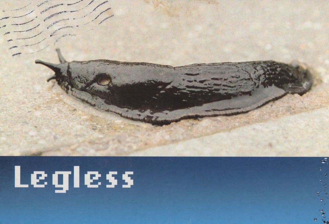 Legless Slug Alcohol Comic Telephone Advertising Postcard