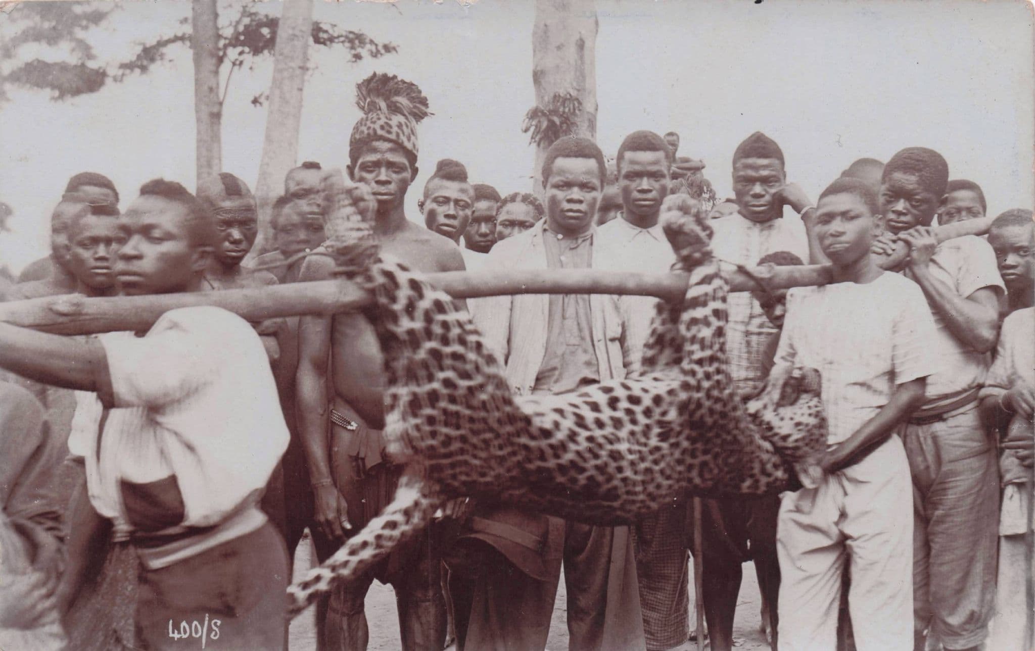 Leopard Animal Hunting Birmingham UK Published Old RPC Postcard