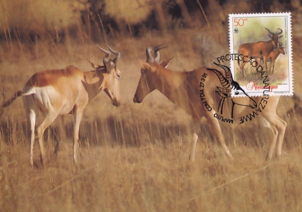 Lichtensteins Hartebeest Deer Antelope Rare WWF Stamp First Day Cover Postcard