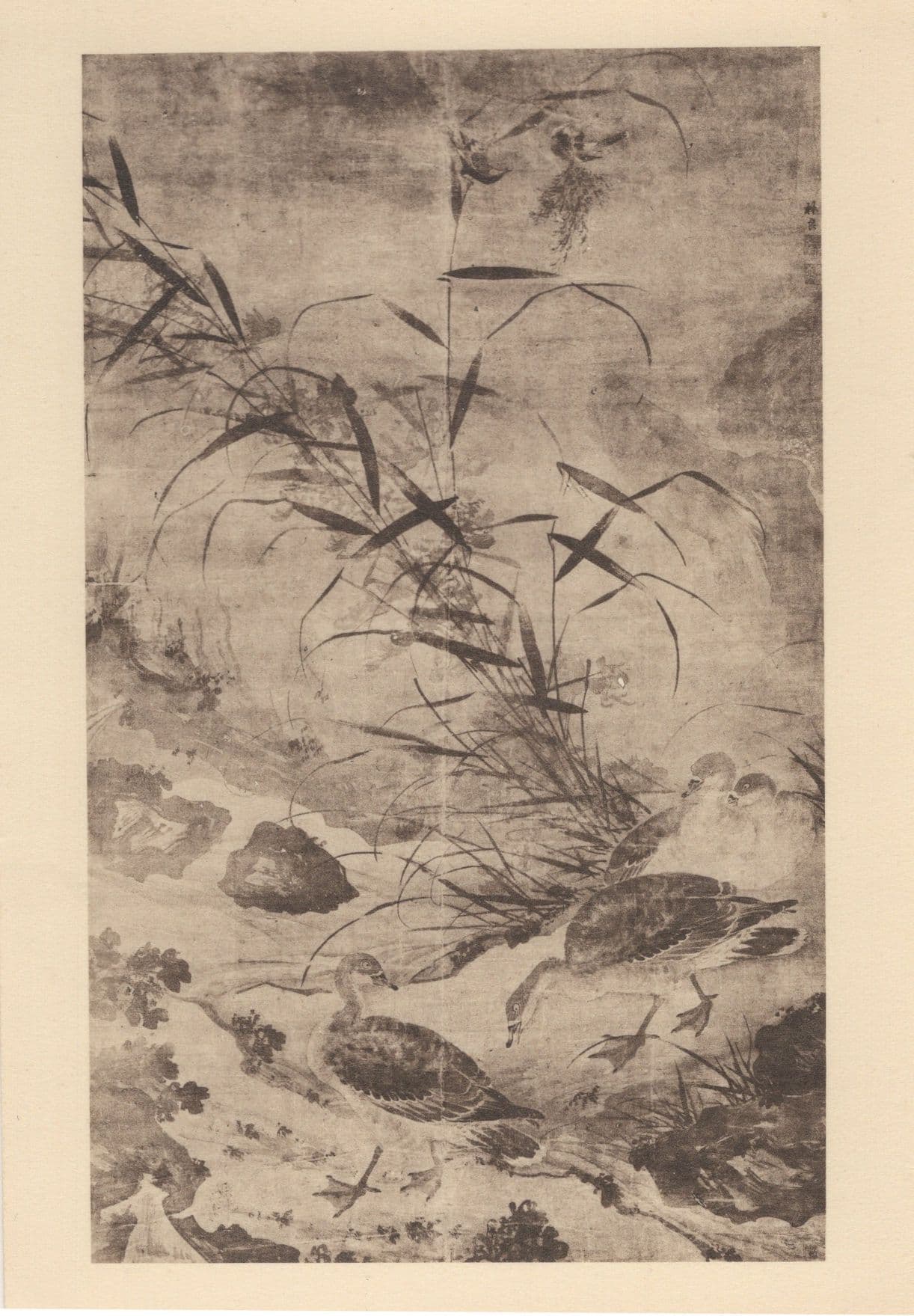 Lin Liang Geese Chinese Birds Rare Painting Postcard