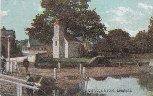 Lingfield Old Cage & Pond Surrey Unused Ex Postcard