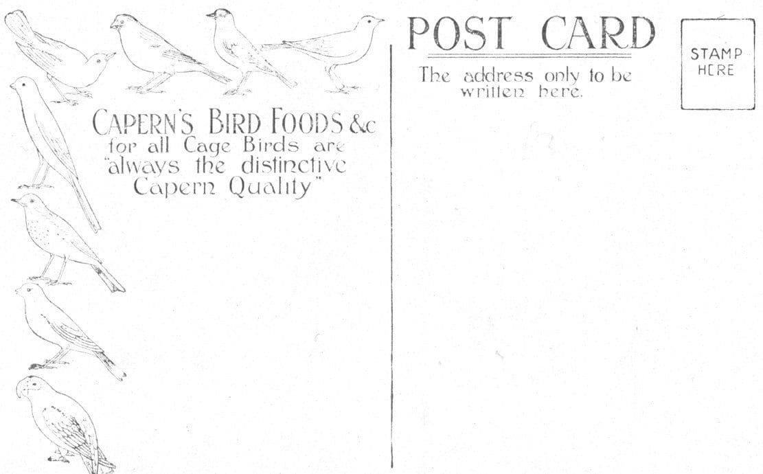 Linnet Caperns Bird Food Advertising Postcard