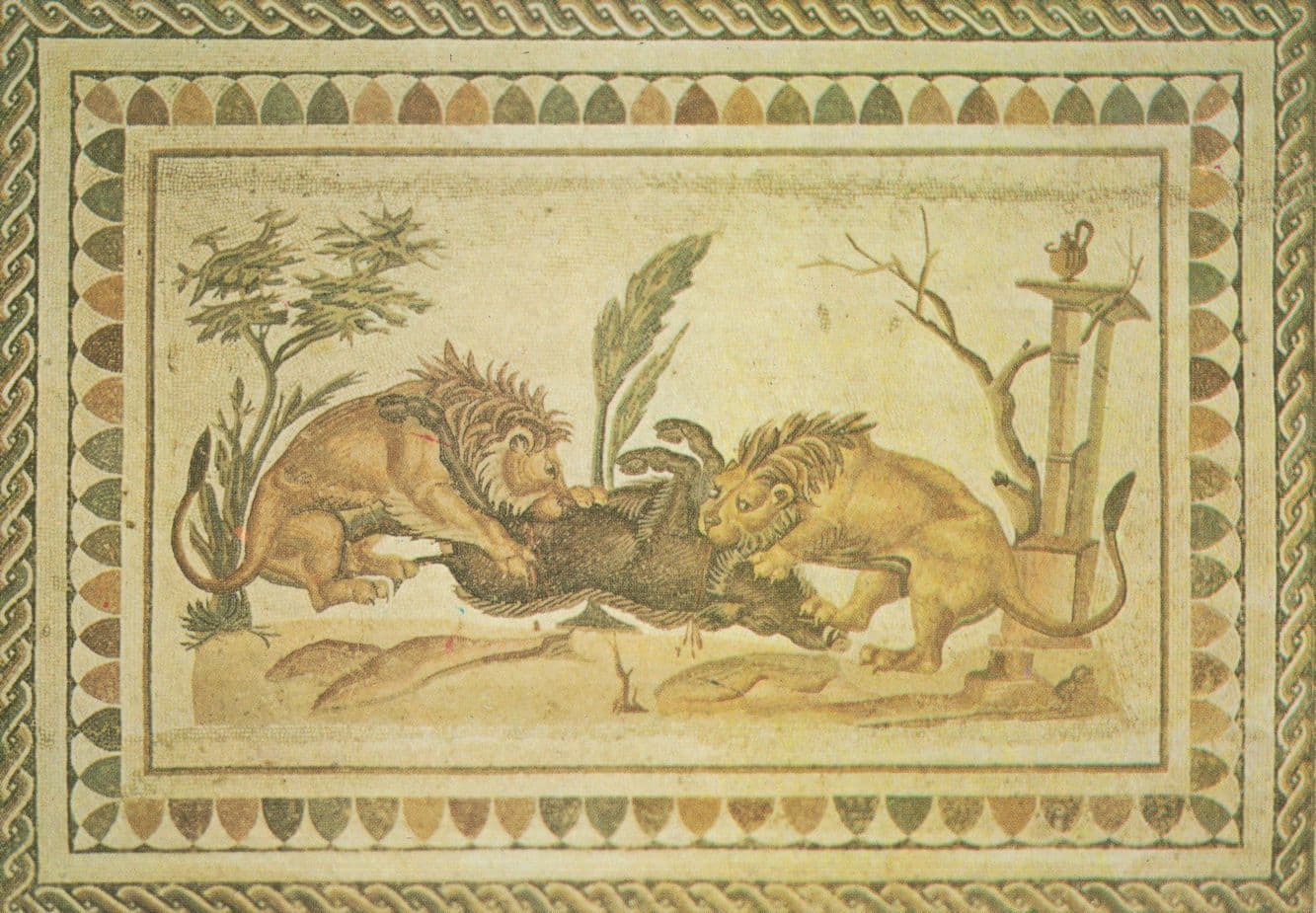 Lions Eating Animal Alive Roman Mosaic Tunis Postcard