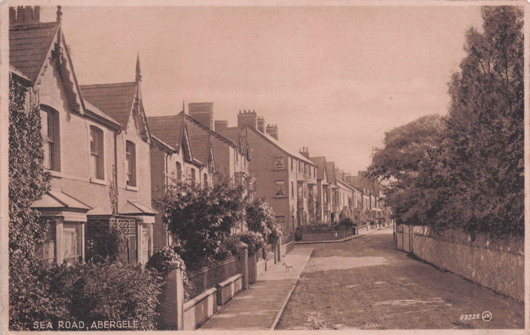 Little Lost Dog at Sea Road Abergele Welsh Old Postcard