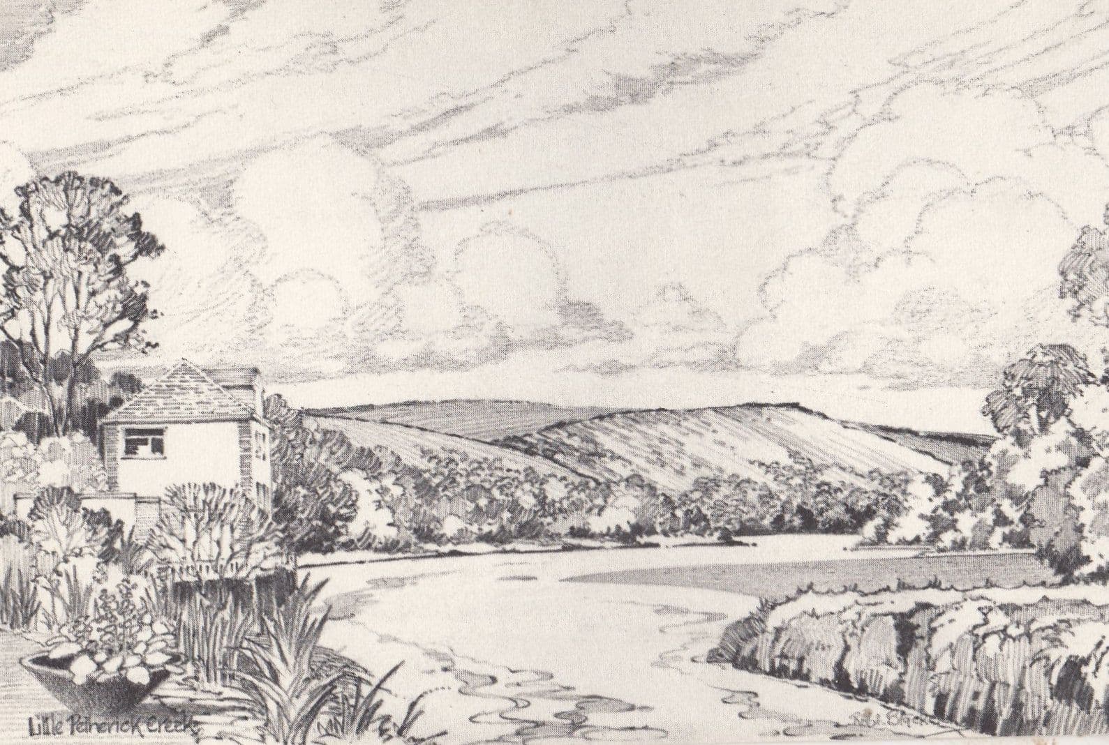 Little Petherick Cornwall Rare Artist Drawing Postcard