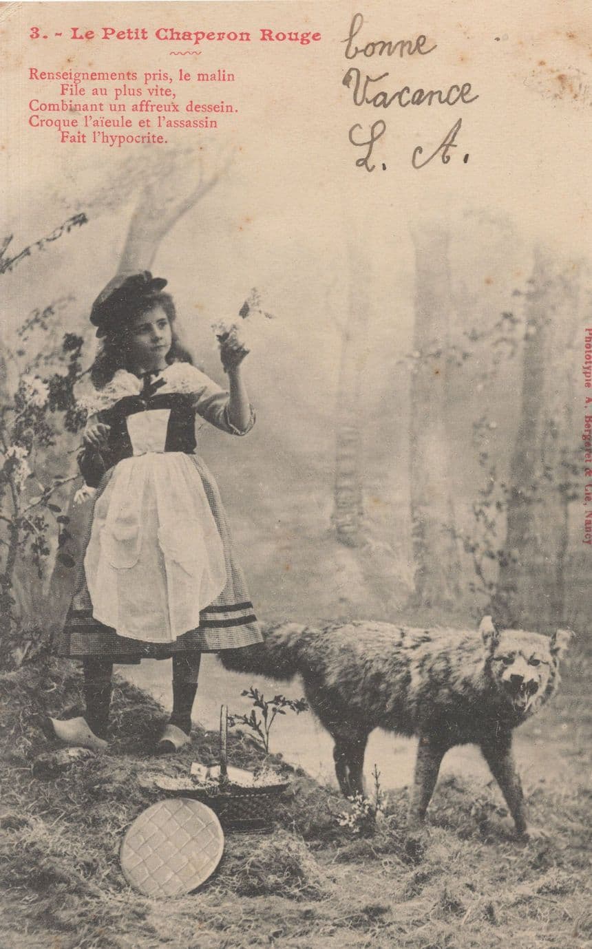 Little Red Riding Hood French Taxidermist Dead Bear Old Postcard