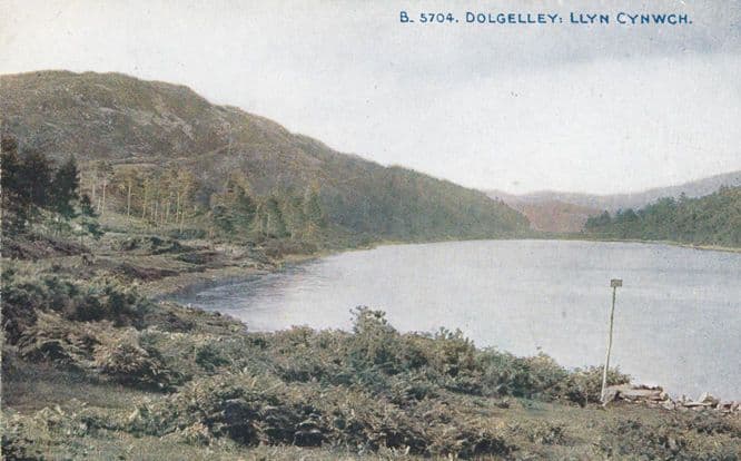Llyn Cynwch Dolgelley Stick By River Antique Welsh Postcard