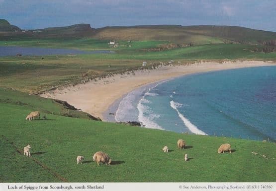 Loch Of Spiggie Scousburgh Rare Aerial Scottish Postcard