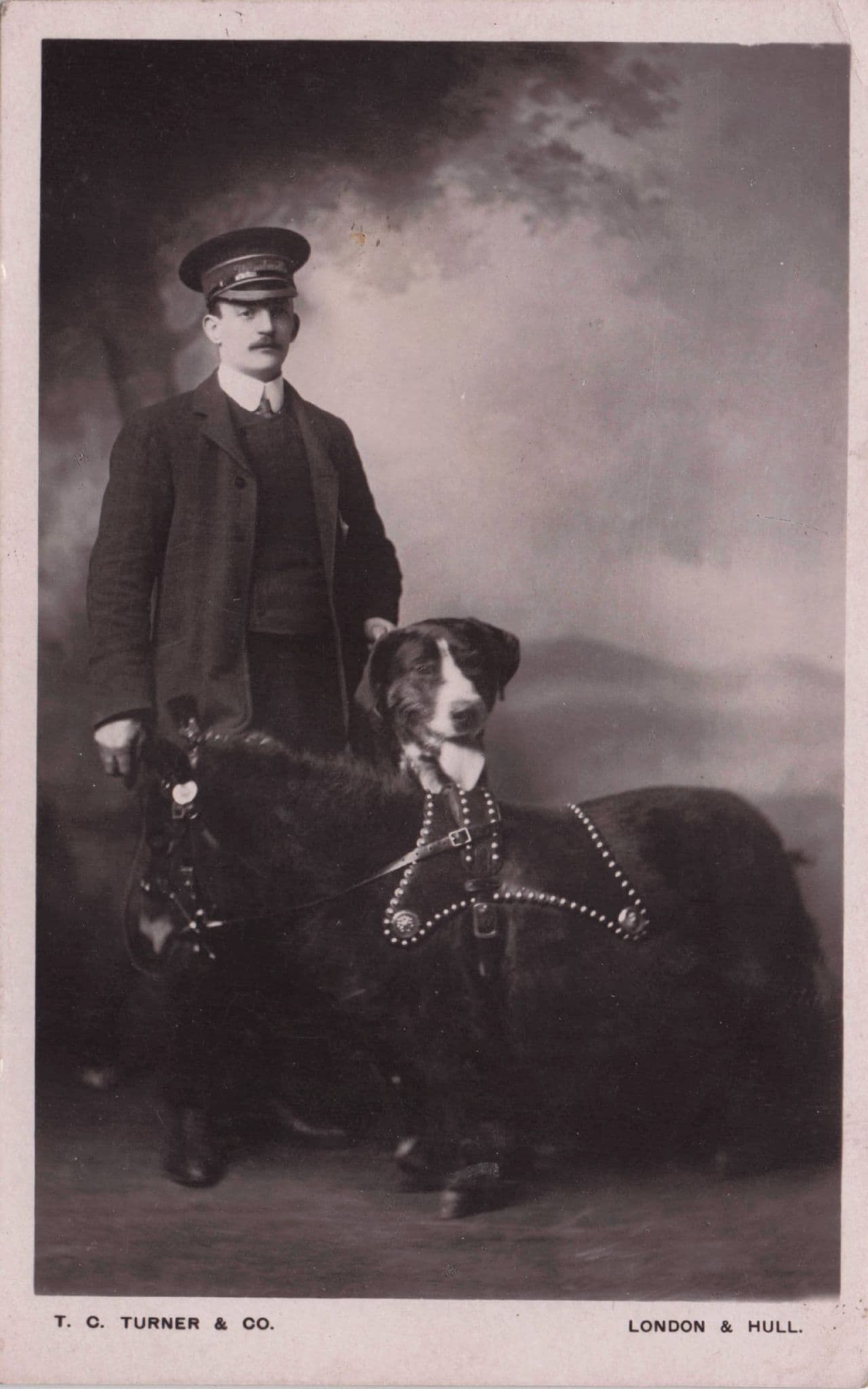 London Circus Zoo Animal Keeper Dog Pony Real Photo Old Postcard