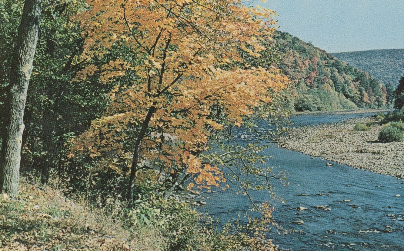 Loyalsock Creek Montoursville Pennsylvania PA 1960s USA Postcard