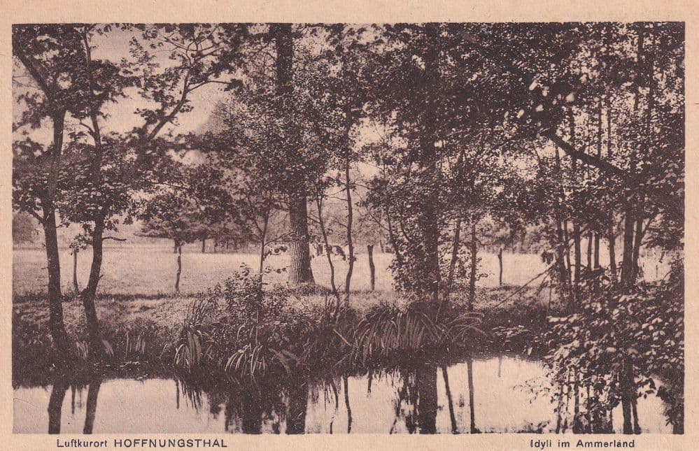 Luftkurort Idyll In Ammerland Farm Cattle Old German Postcard
