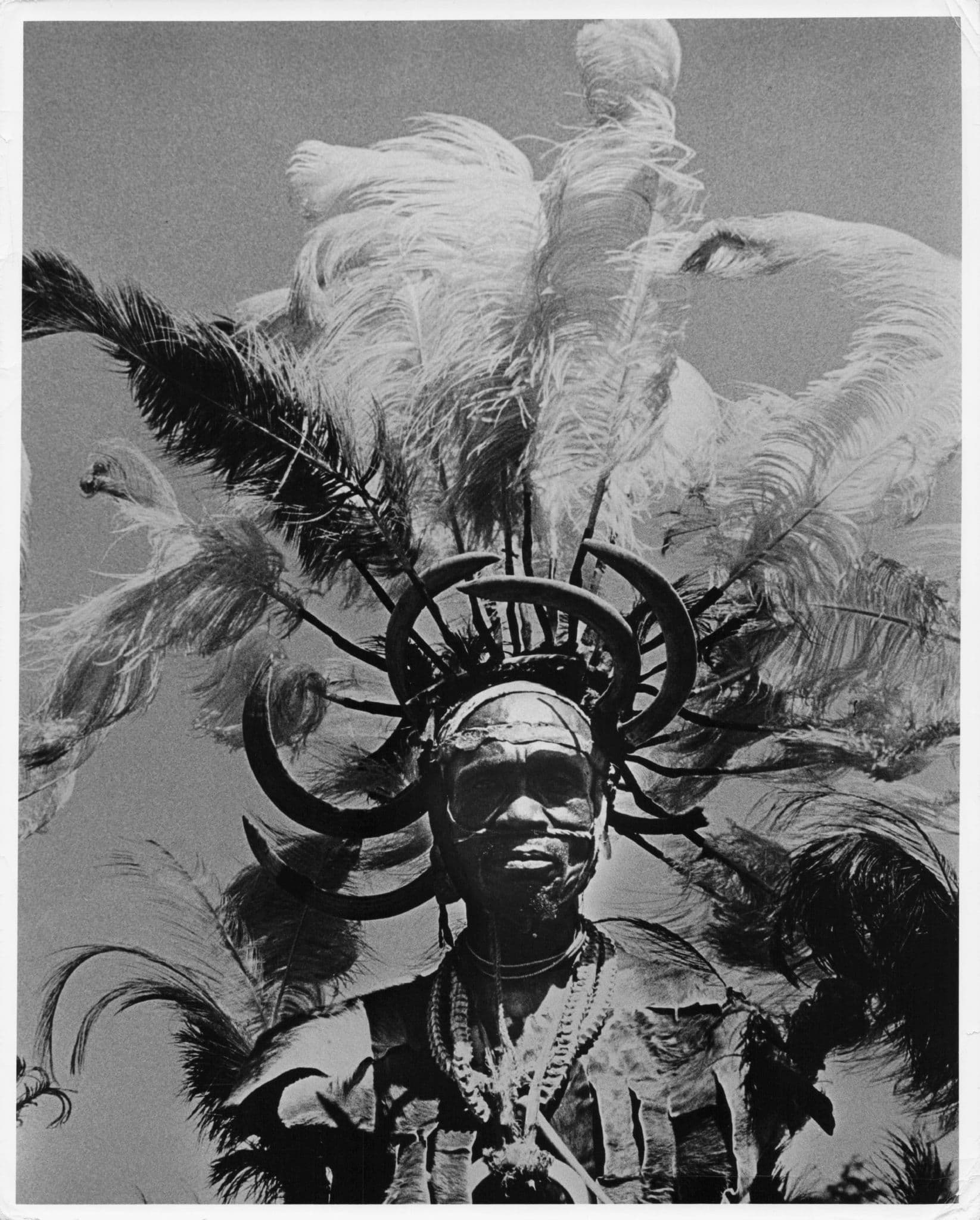 Luo Warrior Man Ostrich Feather Headdress Vintage Kenya 10x8 Press Photo
